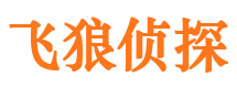 石景山市调查公司